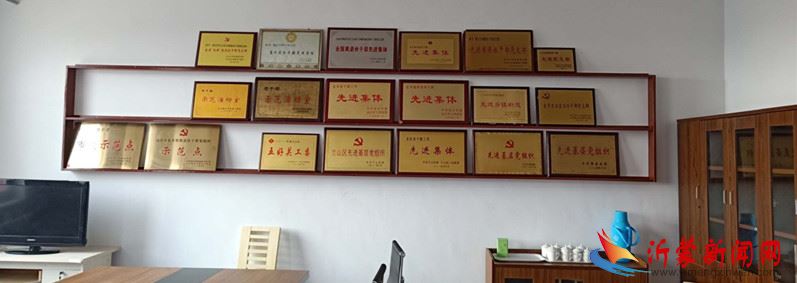 兰山区方城镇开展“翰墨飘香 丹青妙笔”展示活动