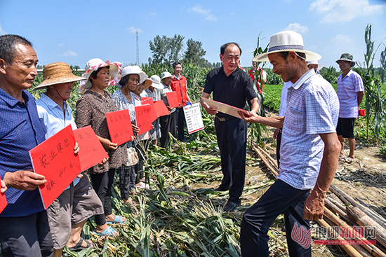 台风过去3天后 河东坊上村受灾户领到保险理赔金
