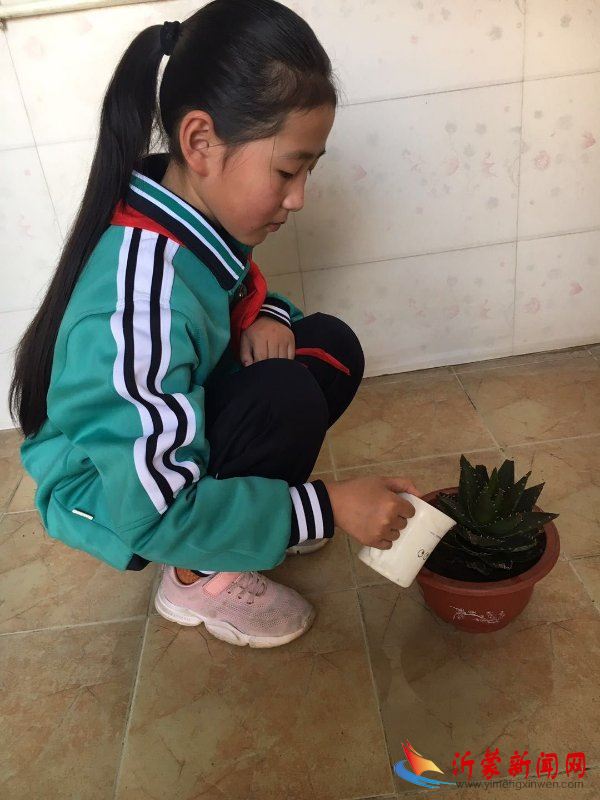 临沂新桥小学开展植绿护绿活动