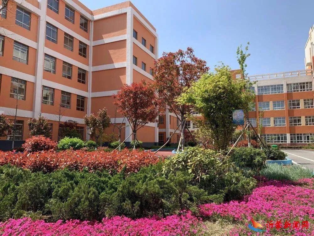 活力满满，美好启航——记开学后校园掠影