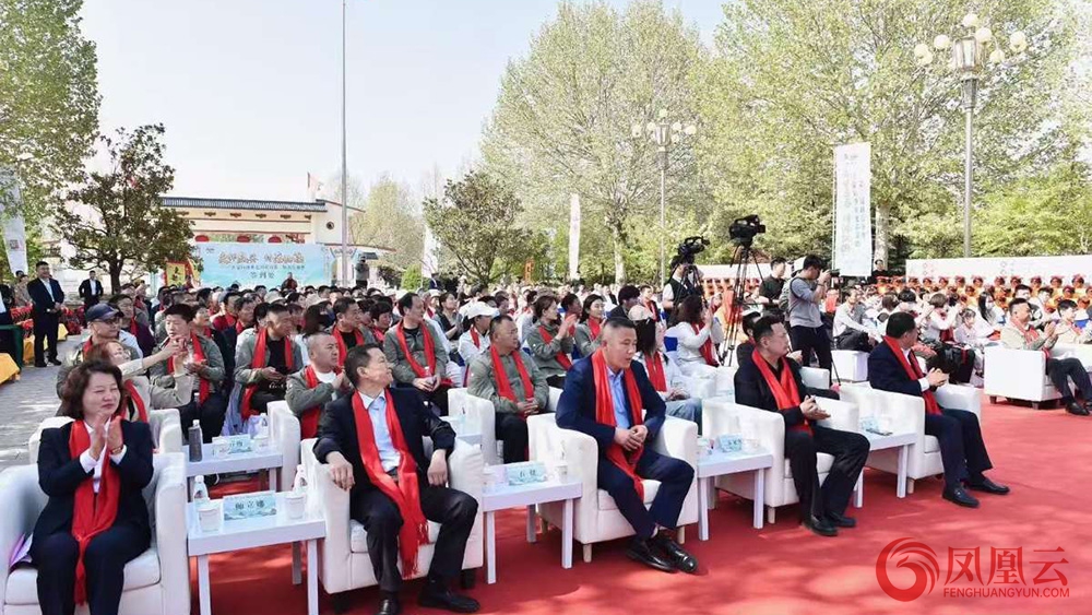 {KS:Field:Title} 第 2 张